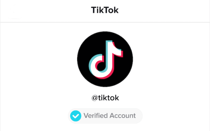 Get Your TikTok Account Verified