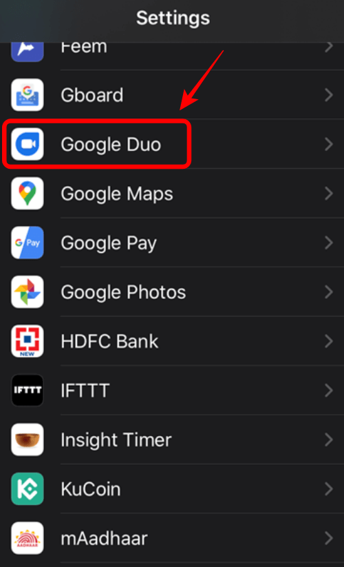 Google Duo iOS