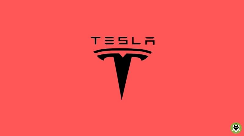 Tesla India