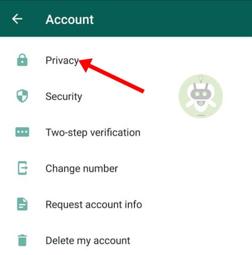 Tap On Privacy - Read WhatsApp Messages Without Blue Tick