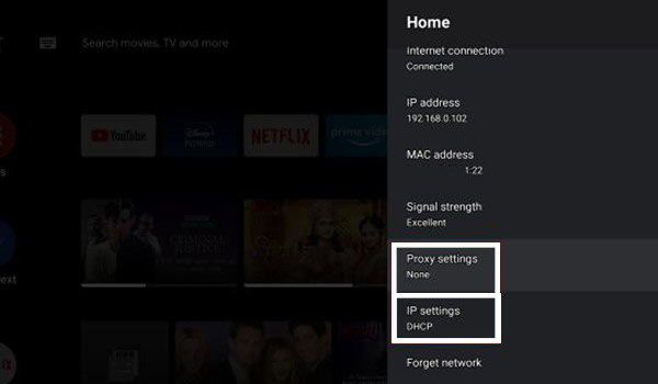 Correct Proxy And IP Settings - Android TV