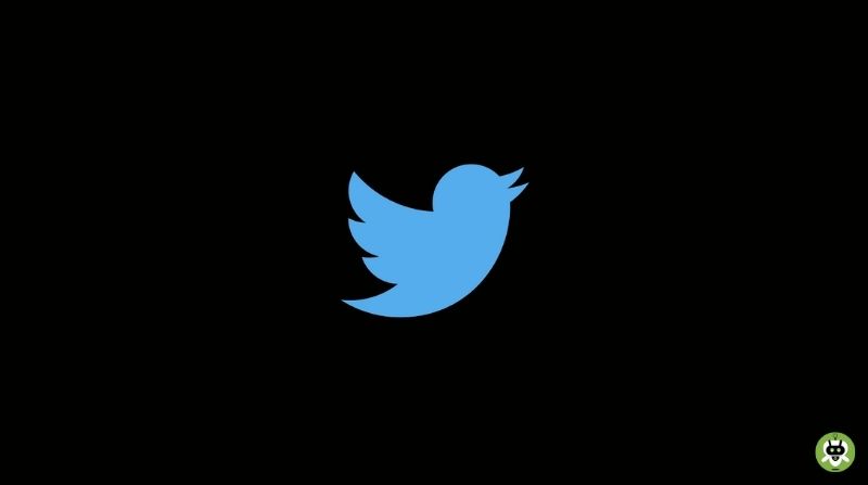 Why Is Twitter Called Twitter