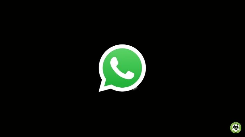 Why Is WhatsApp Called WhatsApp? [Detailed Info]