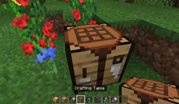 Place The Crafting Table