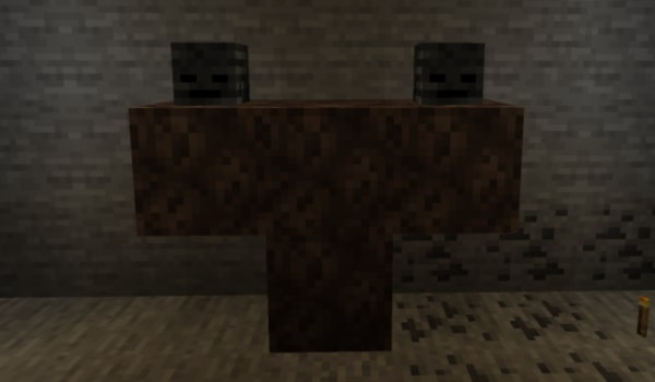 Place The Wither Skeleton Skulls