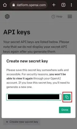 Copy OpenAI API Key