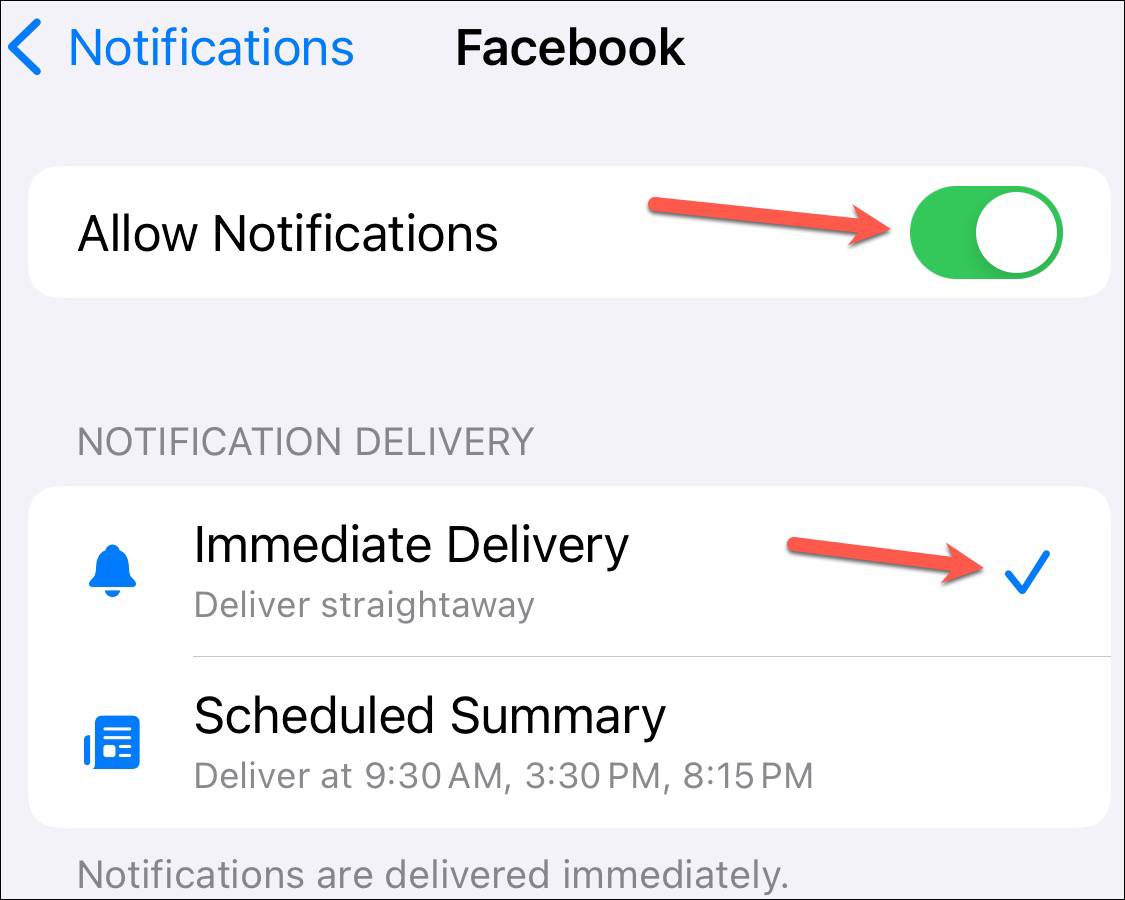 Allow Notifications for Facebook - iPhone settings